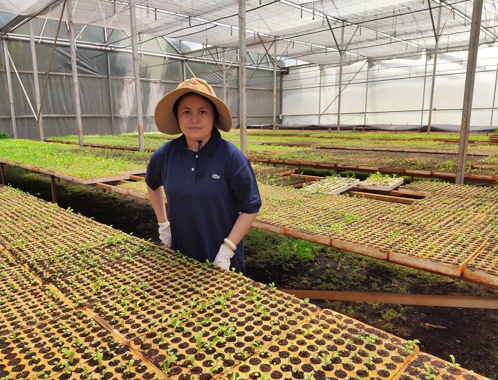 Các loại vỉ ươm cây giống trong nông nghiệp công nghệ cao